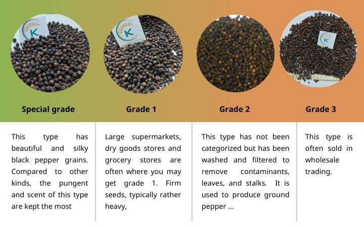 the-benefits-of-black-pepper-10-things-you-must-pay-attention-to 4