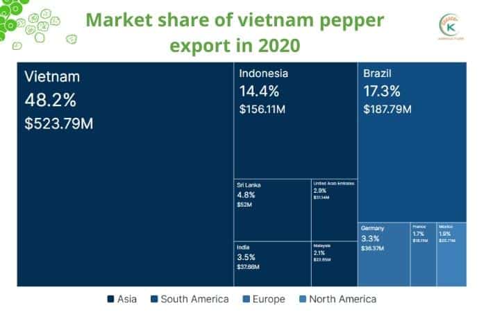 vietnam-pepper-export-and-all-updated-trends-you-can-not-miss 1