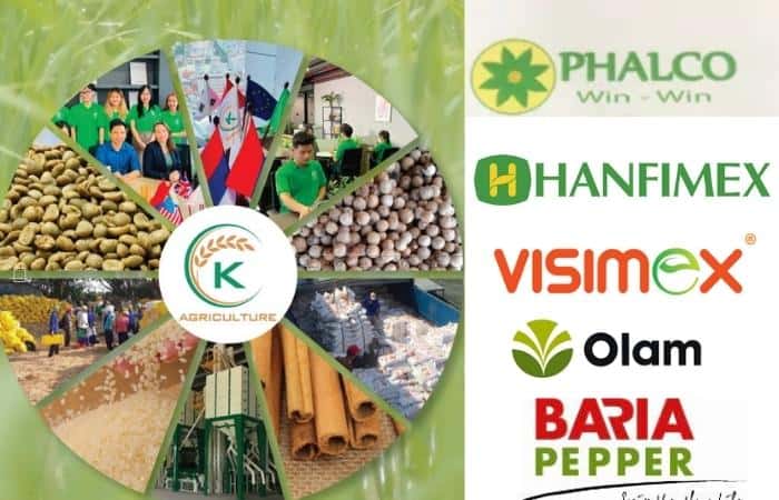 vietnam-pepper-export-and-all-updated-trends-you-can-not-miss-12