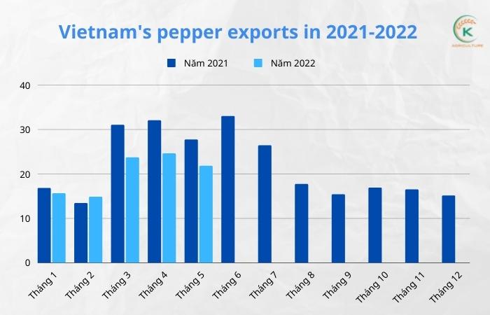 vietnam-pepper-export-and-all-updated-trends-you-can-not-miss-2