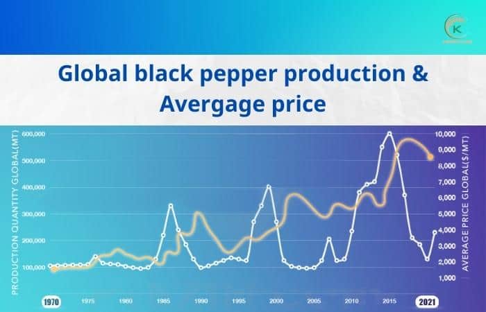 vietnam-pepper-export-and-all-updated-trends-you-can-not-miss-4