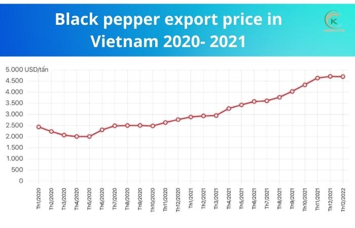 vietnam-pepper-export-and-all-updated-trends-you-can-not-miss-5