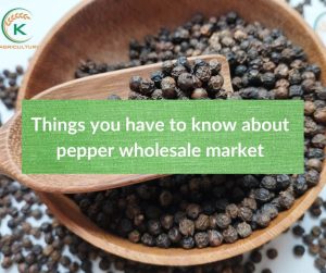 pepper-wholesale-market.6.jpg