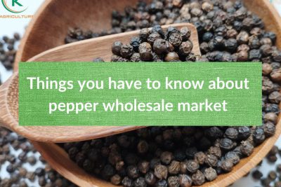 pepper-wholesale-market.6.jpg