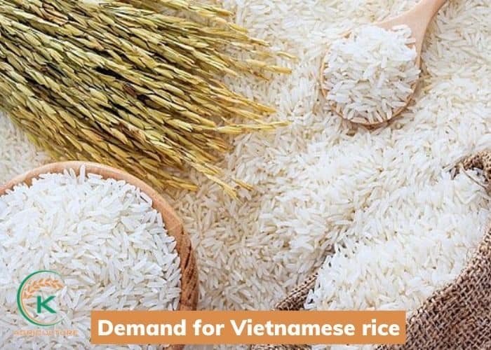 rice-manufacturer-in-Vietnam-10