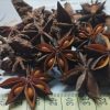 Spring-star-anise-1