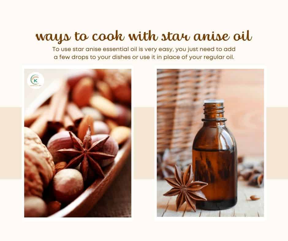 star-anise-in-cooking.7.jpg