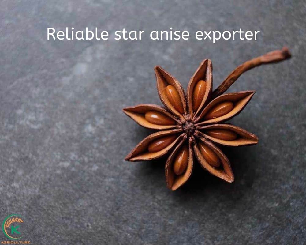 star-anise-exporter.9.jpg