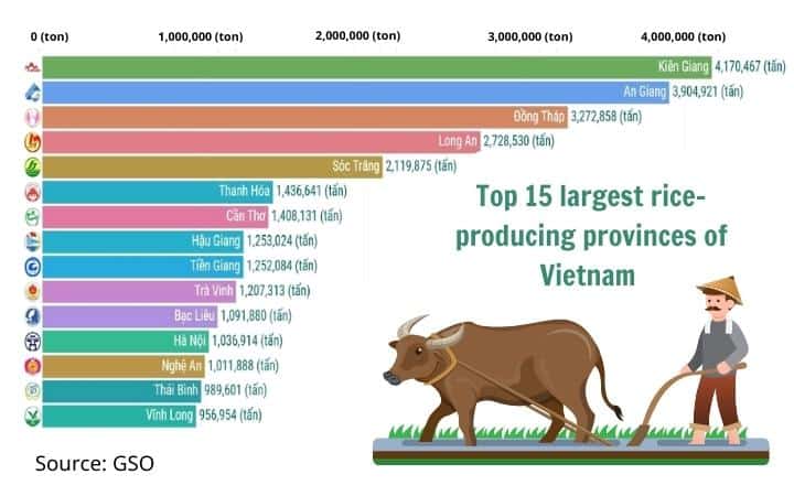 rice-manufacturer-in-Vietnam-12