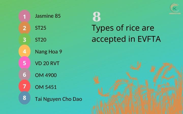 rice-manufacturer-in-Vietnam-14