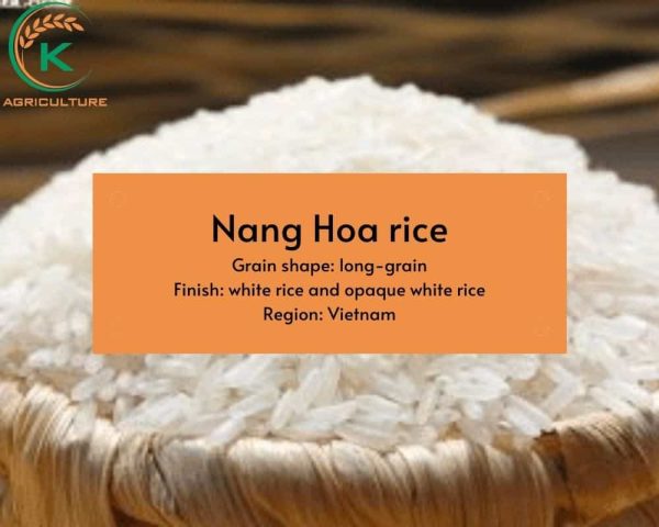Longest Rice Type Top 5 Popular Types Of Long Grain Rice - K-Agriculture
