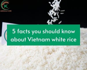 vietnam-white-rice.1.jpg