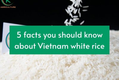 vietnam-white-rice.1.jpg