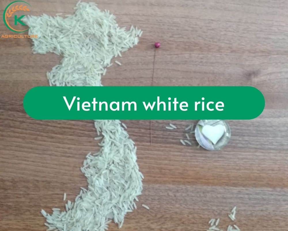 vietnam-white-rice.2.jpg