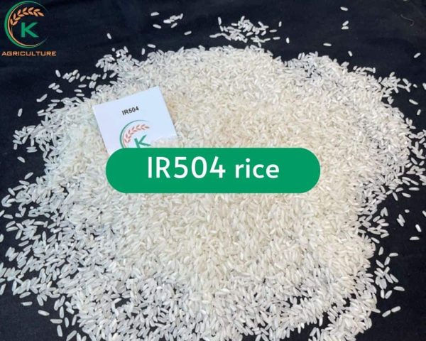Inv4 Rice Vietnam White Rice And 5 Facts You Should Know - K-Agriculture