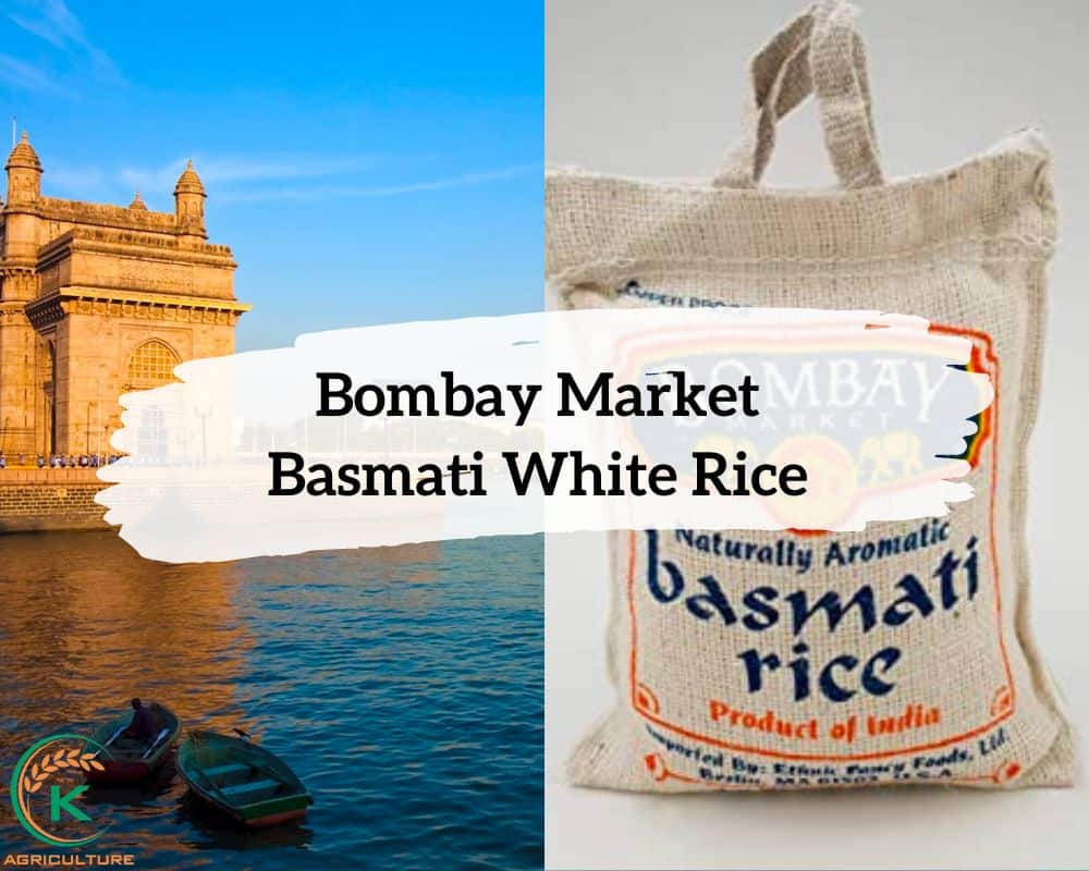 white-rice-brands.1.jpg