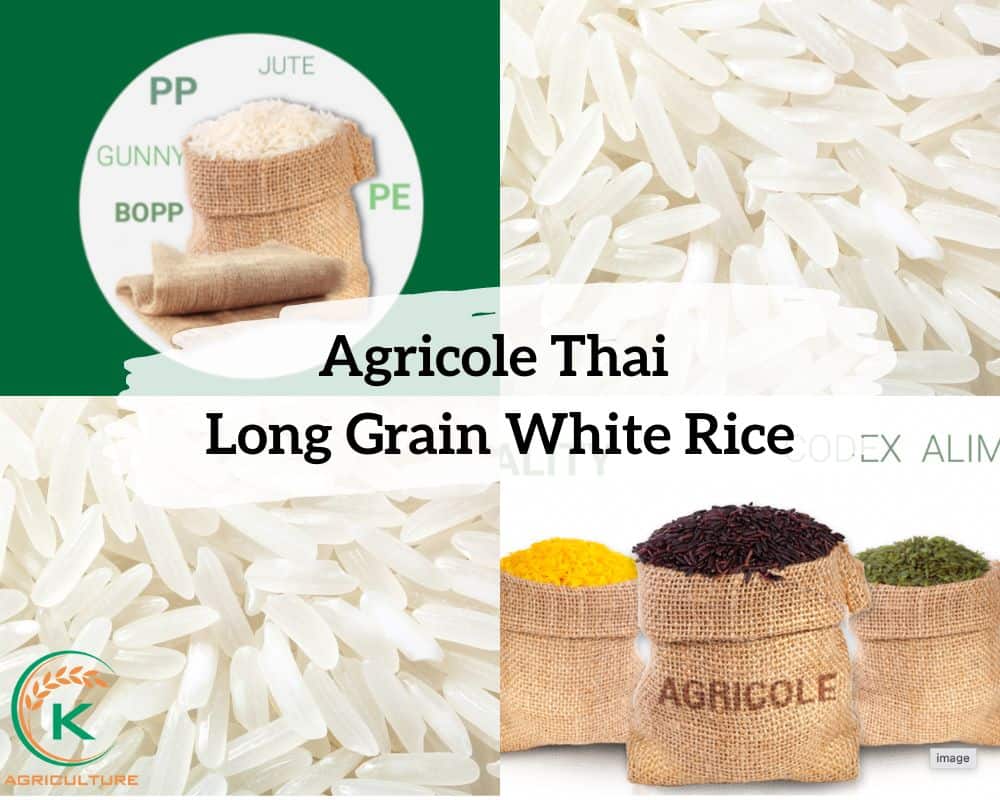 white-rice-brands.4.jpg