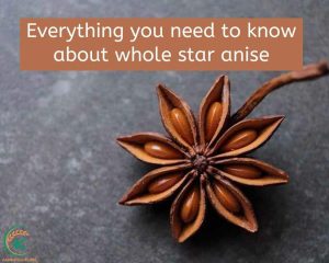 whole-star-anise.1.jpg