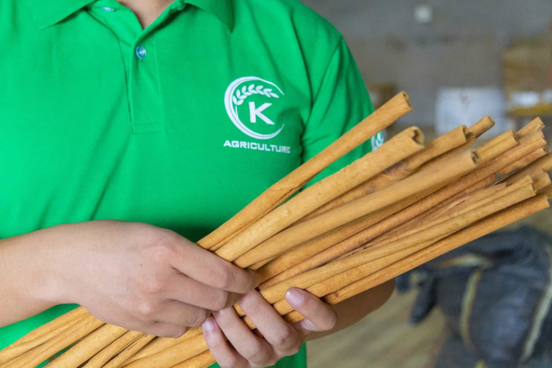 Cinnamon Stick Benefits