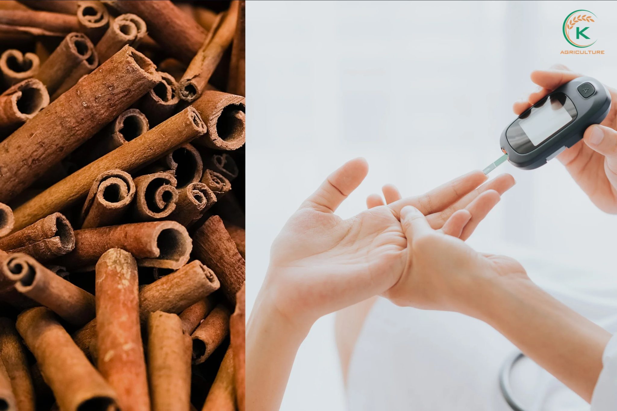cinnamon stick could control blood sugar