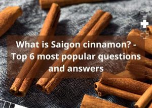 what-is-saigon-cinnamon-top-6-most-popular-questions-and-answers-7
