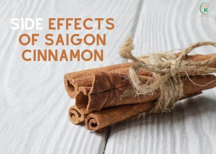 What-is-Saigon-cinnamon?-6