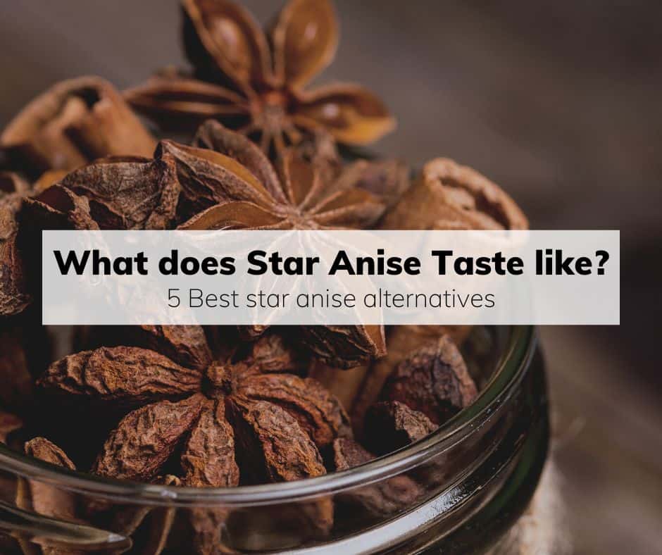 Star anise taste 5 Best star anise alternatives KAgriculture