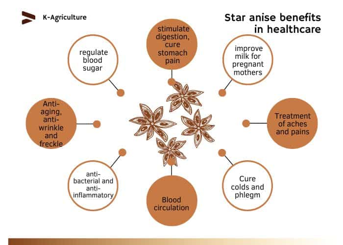 star-anise-in-malaysia-5