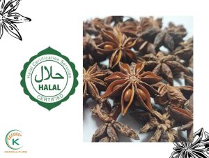 star-anise-in-malaysia-4
