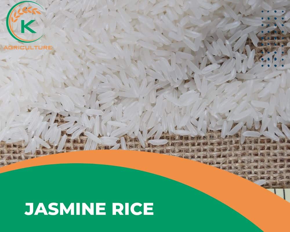 Aromatic-long-grain-rice.4.jpg