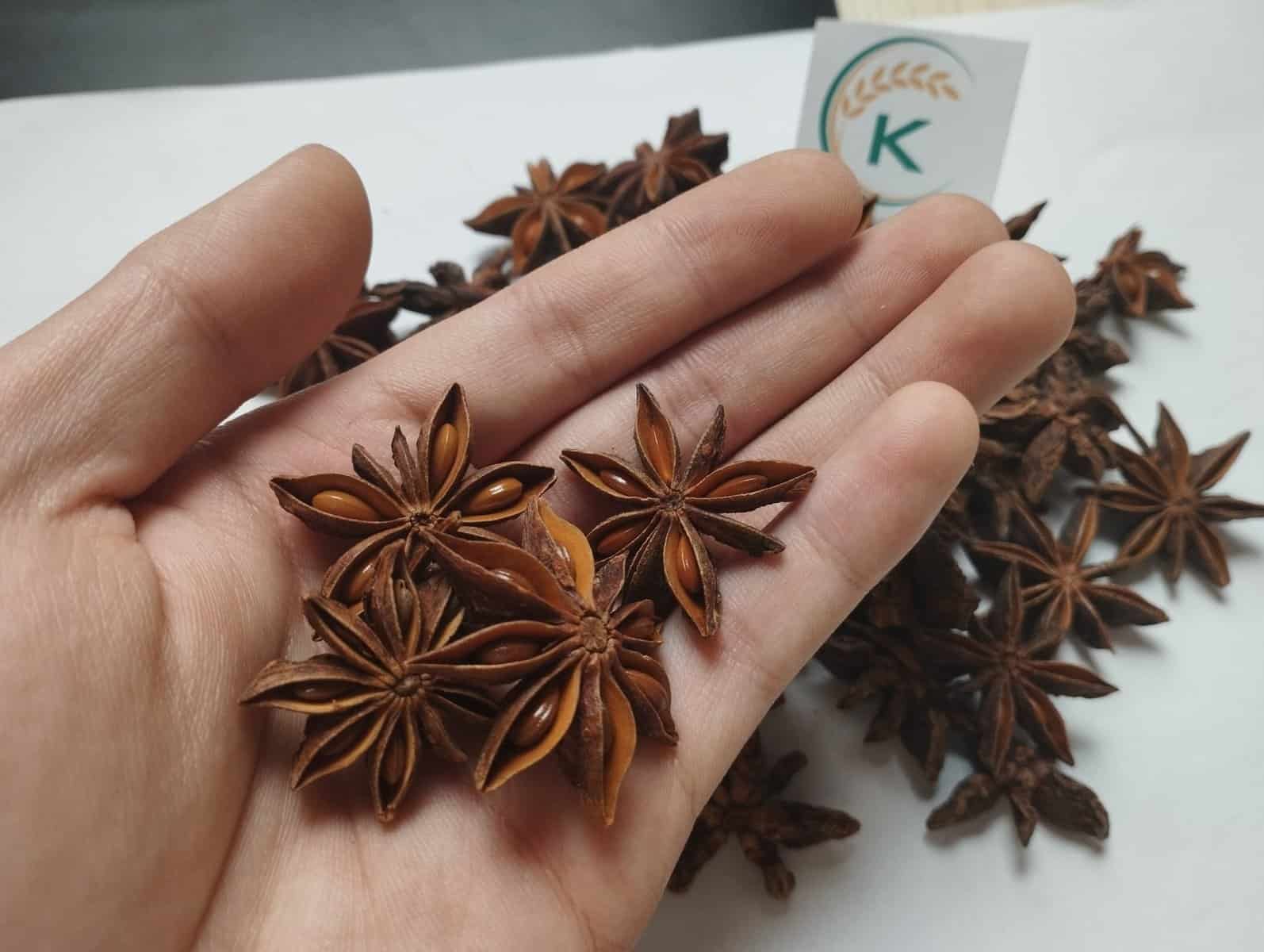 star-anise-in-malaysia-1