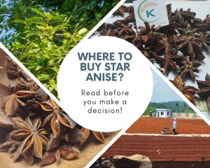 Where-to-buy-star-anise.1.jpg