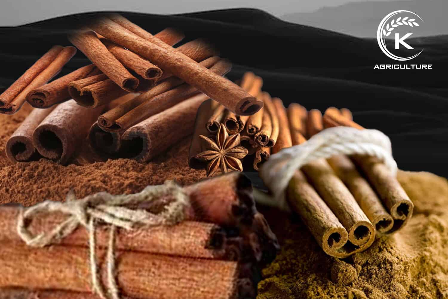 How-Vietnamese-cinnamon-sticks-are-made-5.jpg
