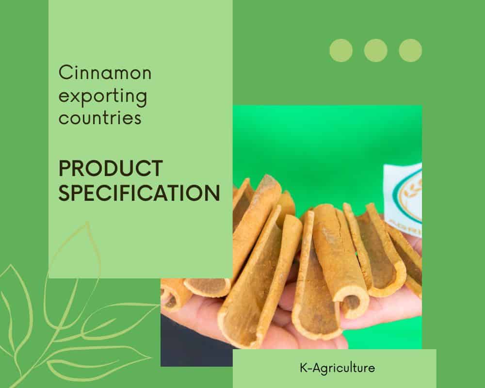 cinnamon-exporting-countries.3.jpg