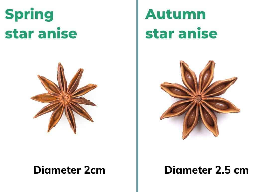 buying-star-anise-2.jpg