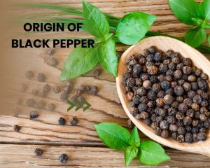 origin_of_black_pepper.jpg