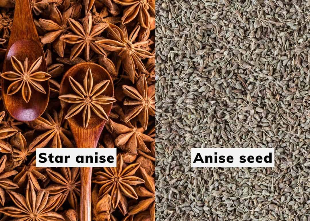 Star Anise Seeds What Is Star Anise And How Do You Use It The Star Anise Seeds What Is Star Anise And How Do You Use It The