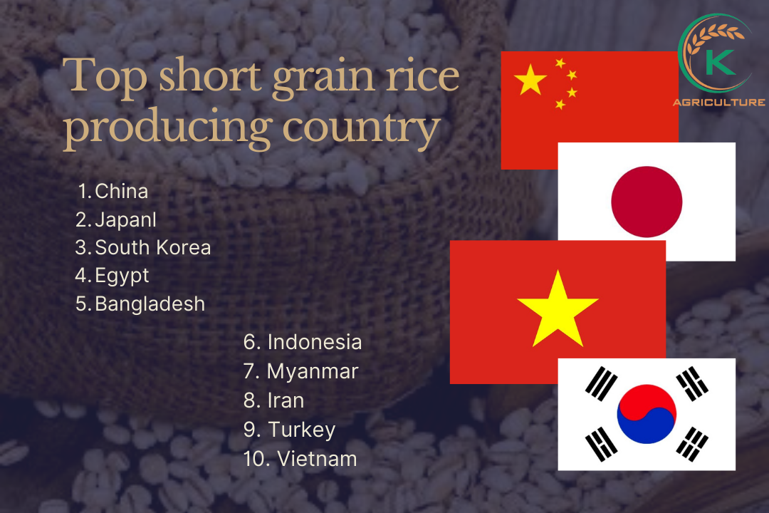 short-grain-rice-7.jpg