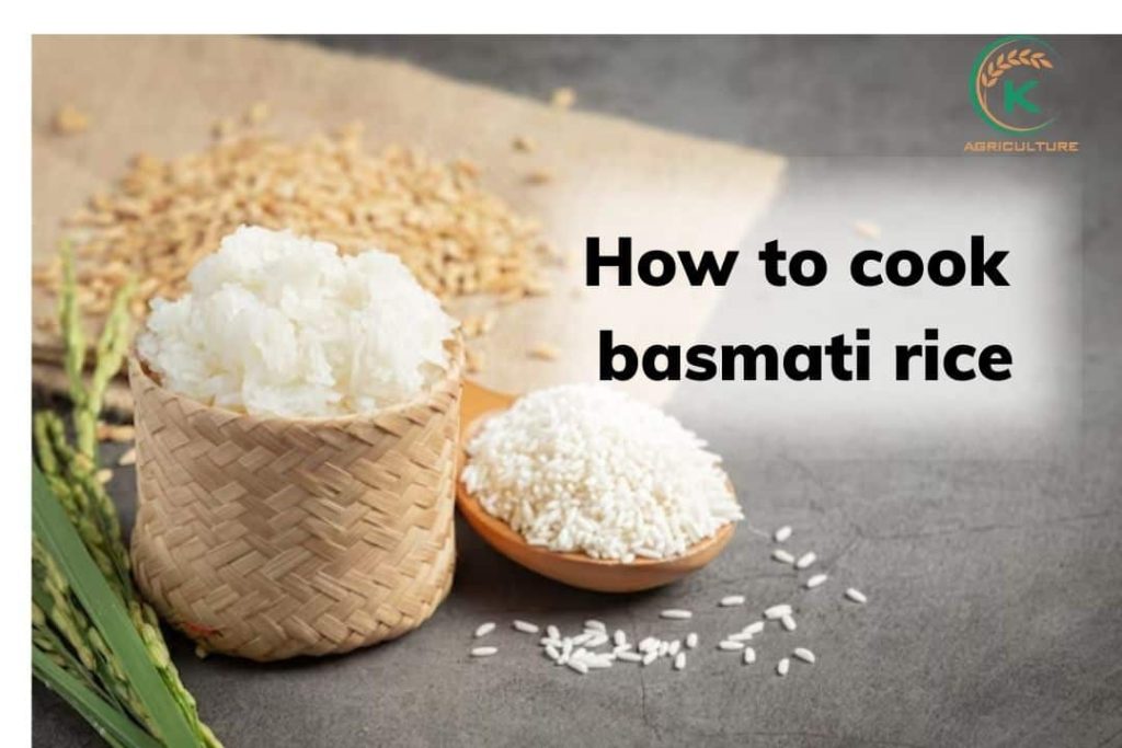 All You Need To Know About Basmati Rice - K-Agriculture