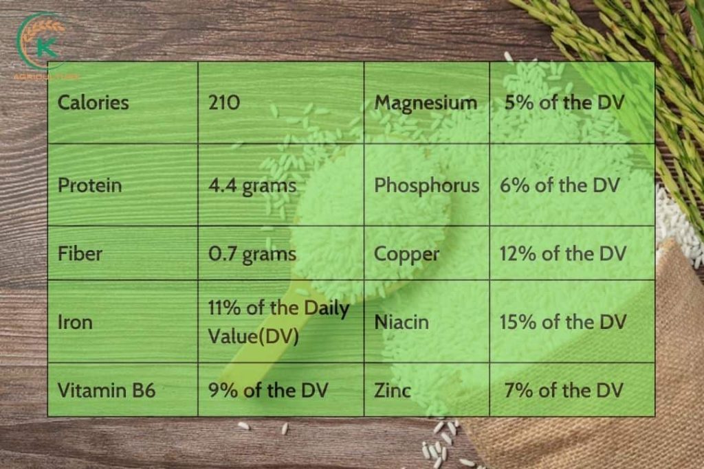 All You Need To Know About Basmati Rice - K-Agriculture
