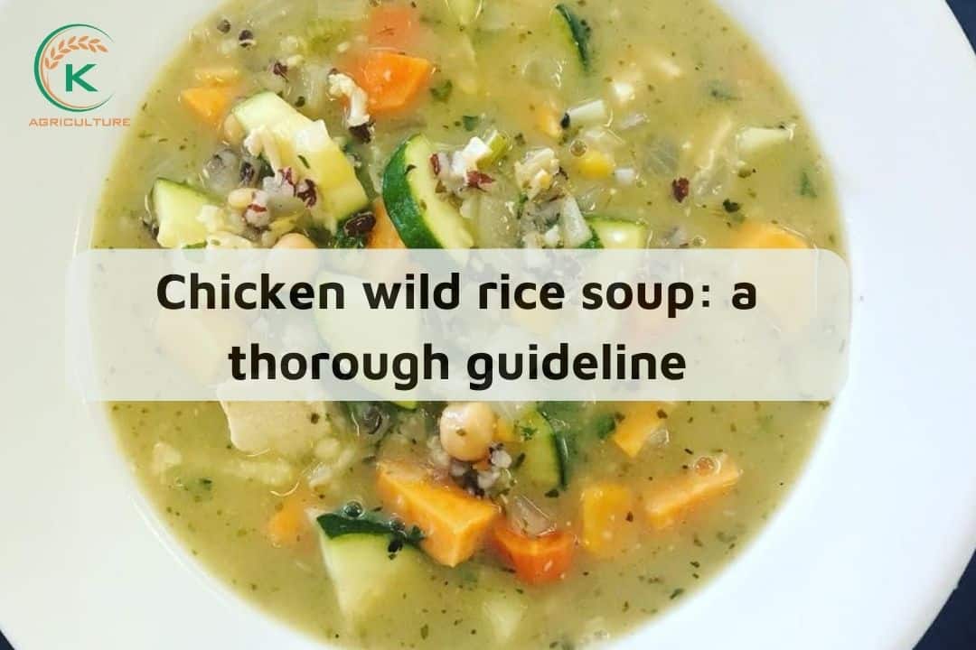 chicken-and-wild-rice-soup-3