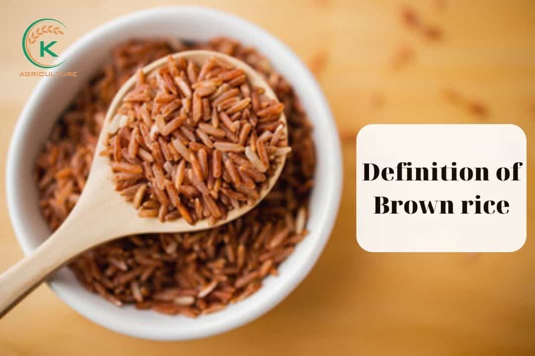 how-to-cook-brown-rice-1