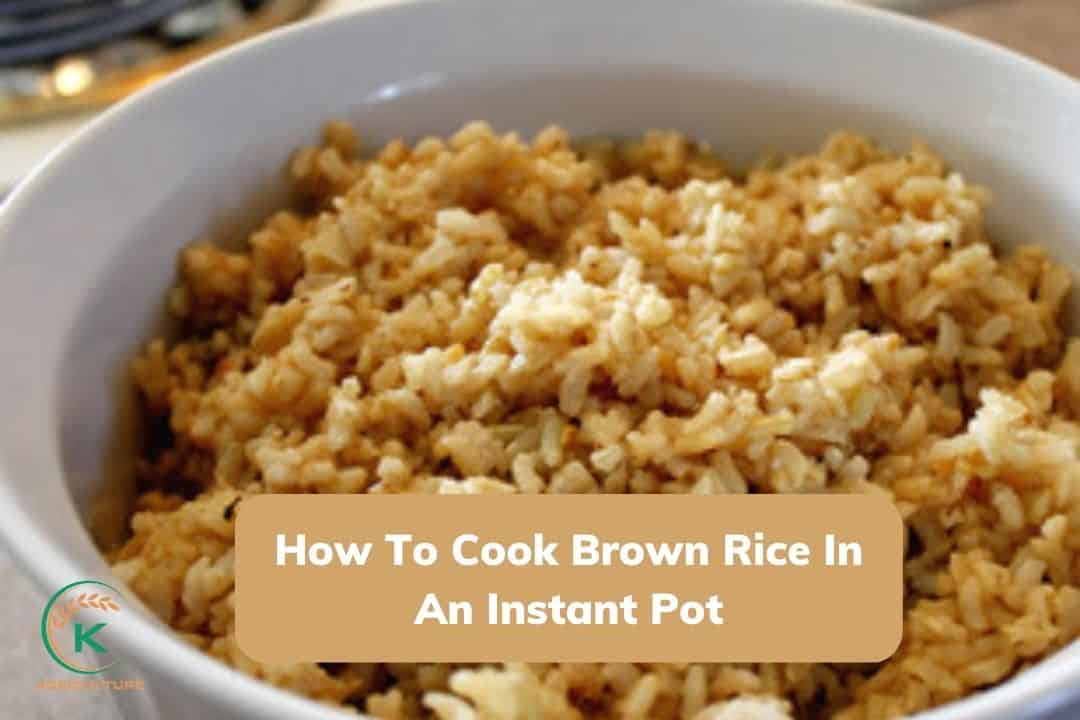 how-to-cook-brown-rice-in-an-instant-pot-3