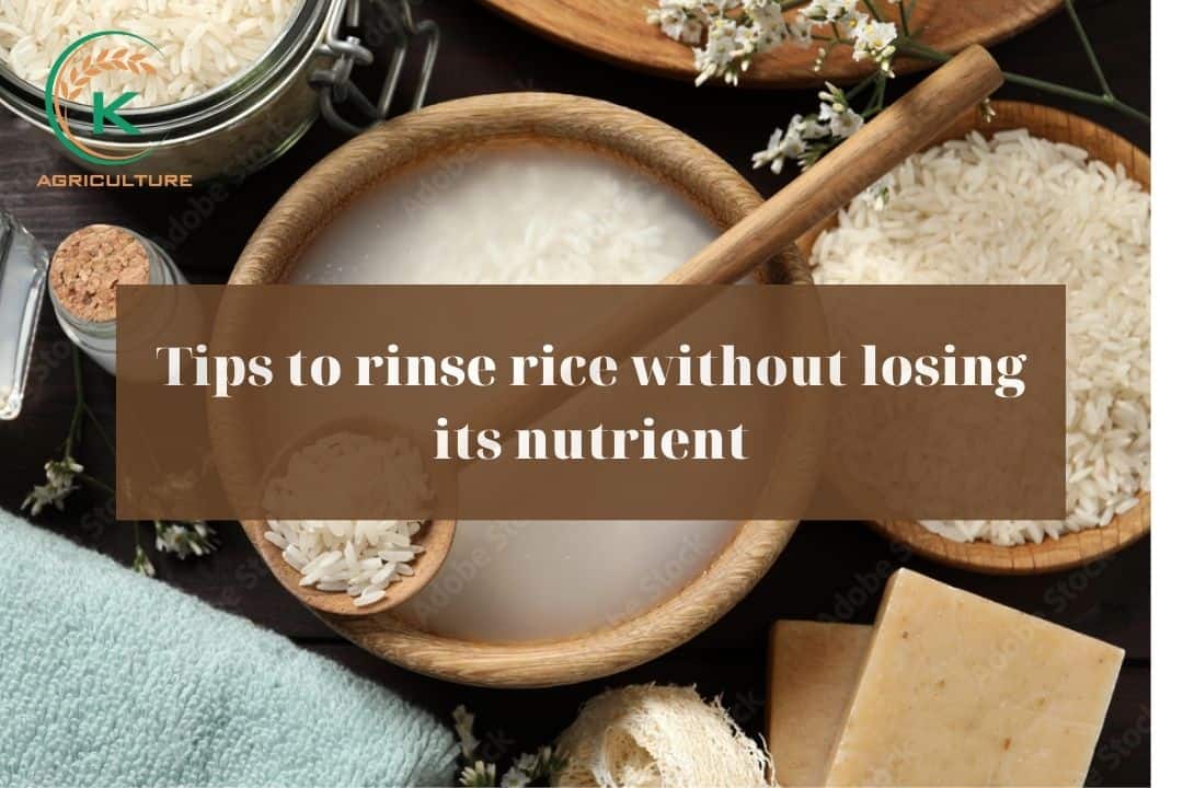 Tips-to-rinse-rice-without-losing-its-nutrient