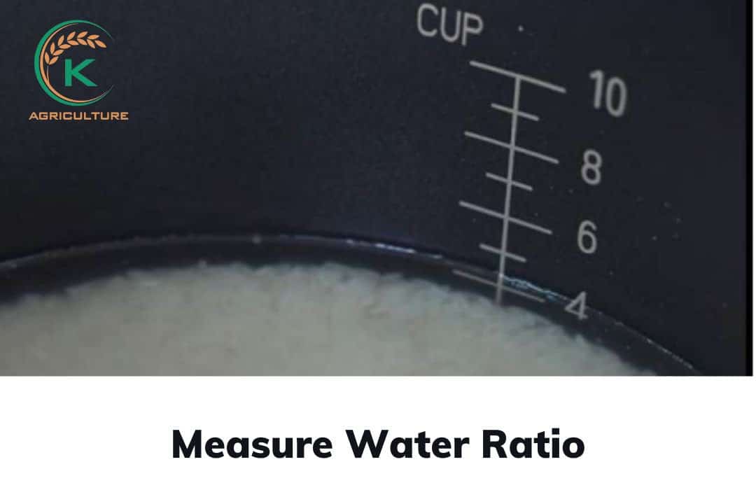 measure-water-ratio