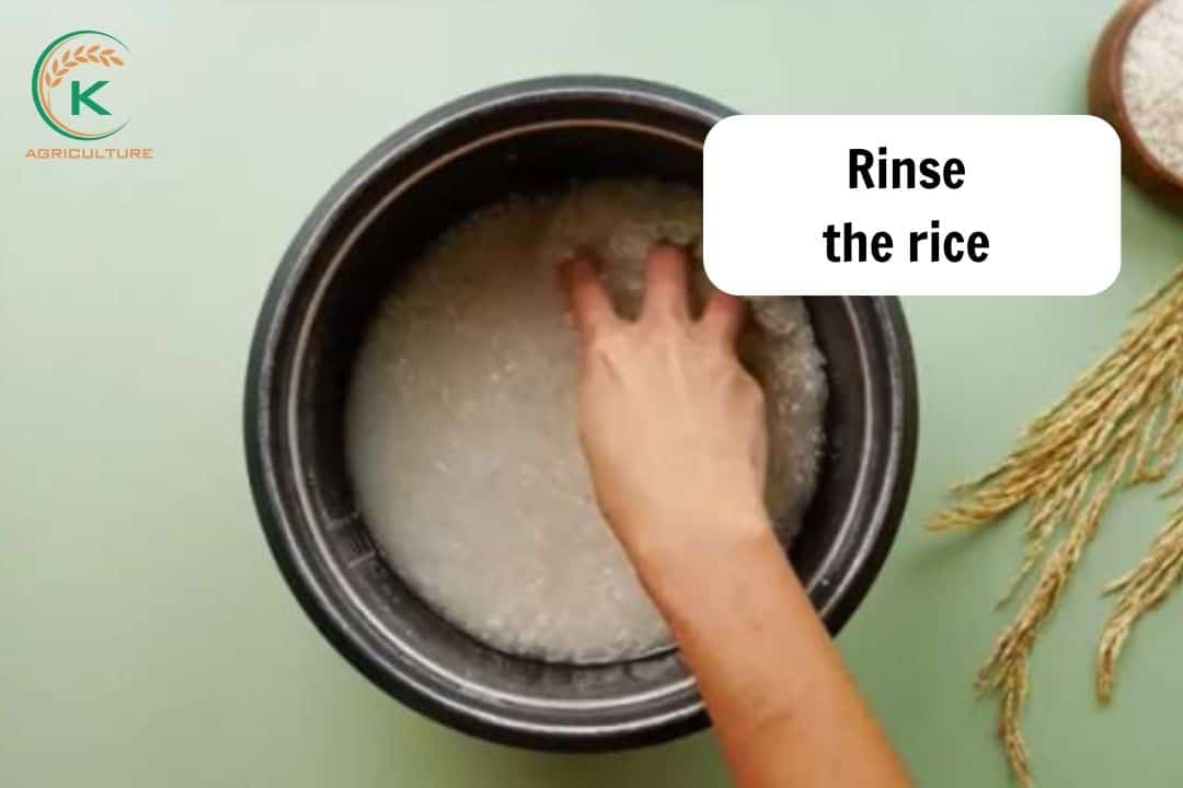 rinse-the-rice