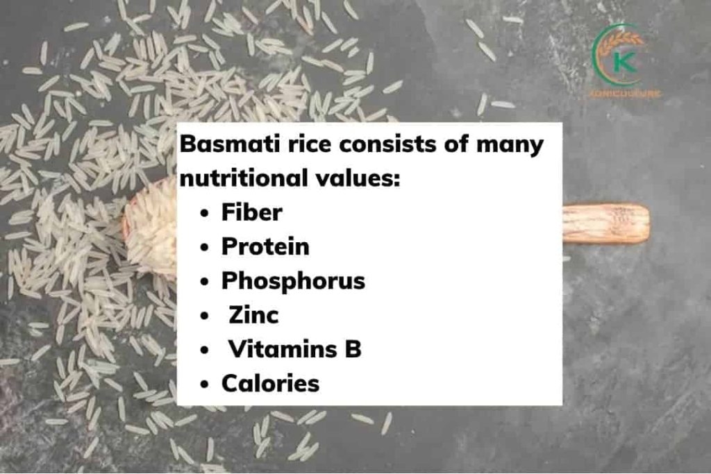Is Basmati Rice Healthy? 3 Misconceptions About Basmati Rice - K ...