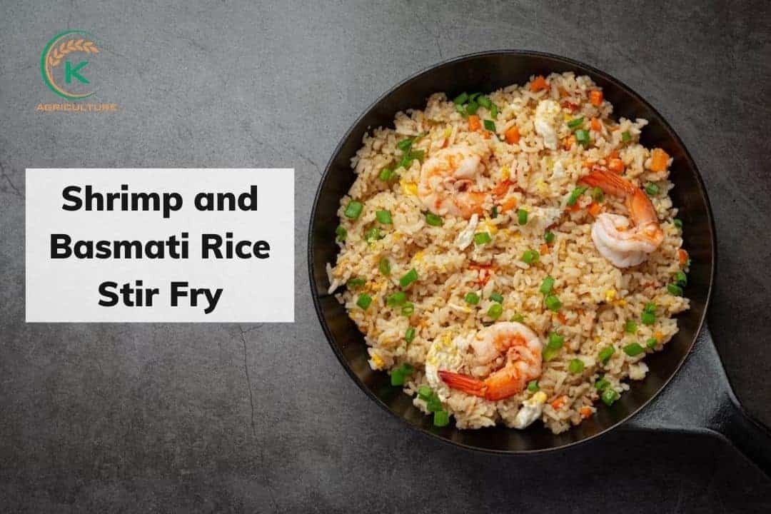 Shrimp-and-Basmati-Rice-Stir-Fry.jpg