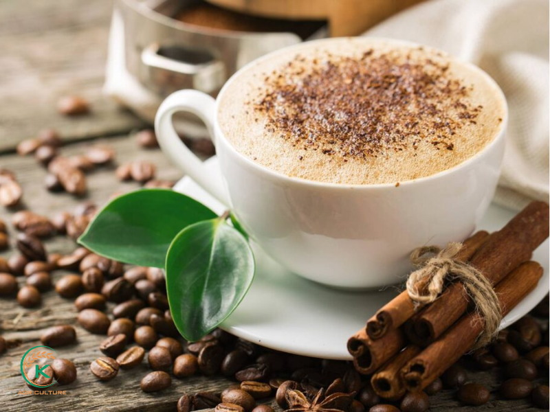 Coffee exporters Vietnam Company