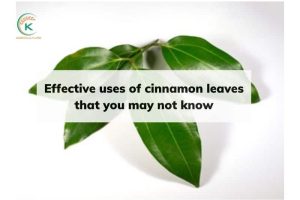 Effective uses of cinnamon leaves that you may not know (1)